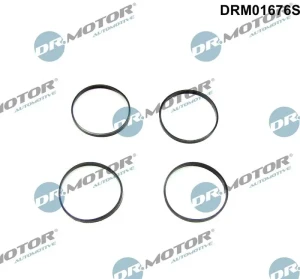 750 i,, 740 i, Dr.motor automotive zestaw uszczelek, kolektor dolotowy BMW 7 E65 E66 E67 Dr.Motor Automotive