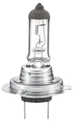 Żarówka HELLA 8GH 007 157-241