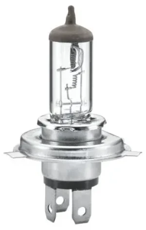 Żarówka, reflektor HELLA 8GJ 002 525-511