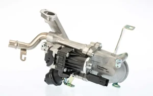 1.6 HDI CITROËN BERLINGO I Borgwarner (wahler) moduł agr BorgWarner (Wahler)