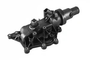1.6, 1.6 16V RENAULT MEGANE II Termostat, środek chłodzący DENSO