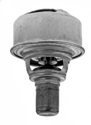 1.6 TX, 1.6 TS, 1.6 TL RENAULT 16 Termostat, środek chłodzący DENSO