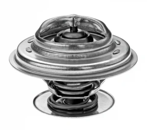 DTM83248 DENSO Termostat, środek chłodzący