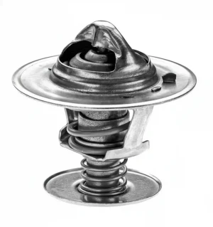 2.0 VW LT 28-35 I Skrzynia (281-363) Termostat, środek chłodzący DENSO