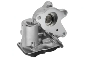 dCi 100, dCi 130, dCi 145, dCi 135, dCi 165, dCi 170, dCi 125 Zawór agr NISSAN NV400 Skrzynia (X62, X62B) NTY