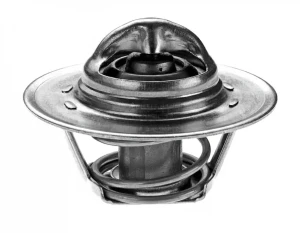 1.1, 1.6 SR, 2.0 ST, 1.4 SL, 1.8 ST PEUGEOT 306 Termostat, środek chłodzący DENSO