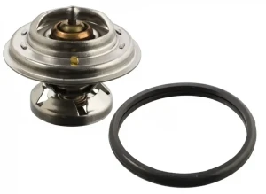 S 350, S 300 MERCEDES-BENZ KLASA S W140 Termostat FEBI BILSTEIN