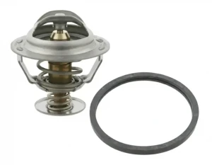 2.0 HDI PEUGEOT 307 Termostat FEBI BILSTEIN