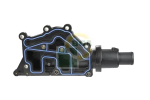 1.6 16V RENAULT SCÉNIC 2 Termostat, środek chłodzący BGA