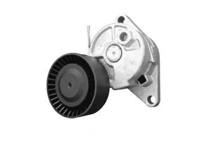 M BMW Z4 E85 Rolka napinacza paska klinowego SNR