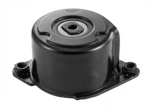 318 td, 320 td BMW 3 E46 Rolka napinacza paska klinowego SNR