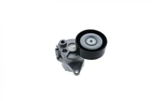 CDI 2.2, CDI 2.0, CDI 3.0 MERCEDES-BENZ VIANO W639 Rolka napinacza paska klinowego SNR