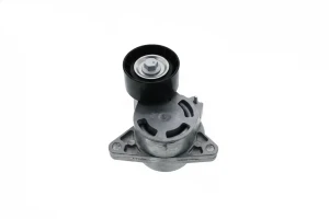 2.5 dCi, 2.2 dCI RENAULT MASTER II Rolka napinacza paska klinowego SNR