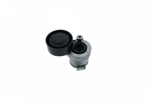 1.5 dCi, 1.6 16V DACIA DUSTER Rolka napinacza paska klinowego SNR