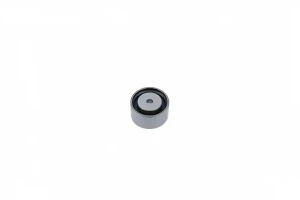 Rolka paska klinowego 1.9 dTi, 2.0 16V, 1.9 DCi, 1.9 dCi RENAULT MEGANE I SNR