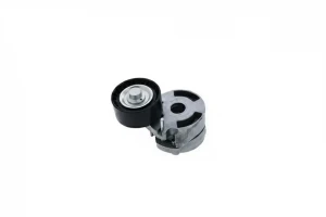 1.4 HDi PEUGEOT 206 Rolka napinacza paska klinowego SNR