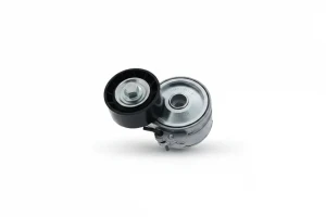 2.0 HDi, 2.2 HDi PEUGEOT BOXER Rolka napinacza paska klinowego SNR