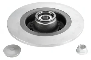 Tarcza hamulcowa tył RENAULT MEGANE II Kombi (KM0/1_) SNR