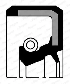 NA5244 PAYEN Oring uszczelniacz wału korbowego