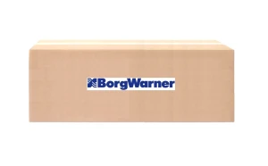 BW120356_2000884 BorgWarner Borgwarner bw120356 filtr oleju mech. różnicowego