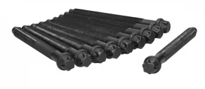 1.9 D, 1.7 RENAULT 21 Zestaw śrub głowicy cylindrów BGA