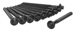 1.5 dCi RENAULT SCÉNIC 2 Zestaw śrub głowicy cylindrów BGA