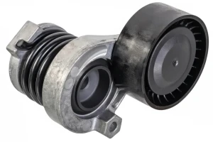 1.5 dCi Napinacz paska klinowego wielorowkowego RENAULT THALIA I KAMOKA