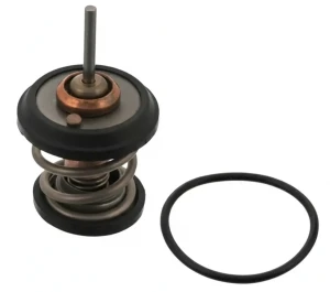 2.0 TFSI, 1.8 TFSI AUDI TT II Termostat SWAG