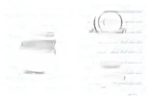 FAS, FAK, FTM, FAR, FAD, FTT, FAT, FA, FT DAF XF 105 Wasserpumpe Wasserpumpe DOLZ