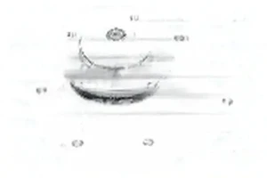 E113 DOLZ Pompa acqua