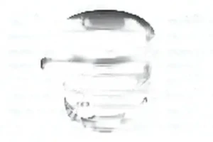 MP 180, MP 260, MP 340, MP 380, MP 190, MP 400, MP 410 IVECO EUROTRAKKER Wasserpumpe Wasserpumpe DOLZ