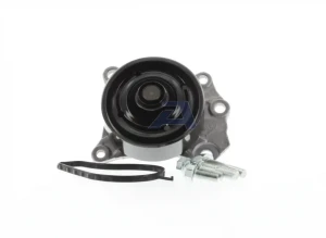 1.0 PEUGEOT 107 Pompa wody Pompa wody AISIN
