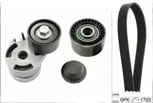 1.4 HDi Mehrrippiger keilriemen set PEUGEOT 206 INA