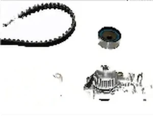 1.6 e RENAULT MEGANE I Wellenset + wasserpumpe INA