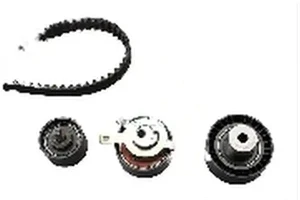 2.0 16V, 1.8 16V, ST170 FORD FOCUS I Zahnriemen – set INA