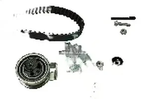 1.9 TDI SKODA FABIA I Zahnriemen – set INA