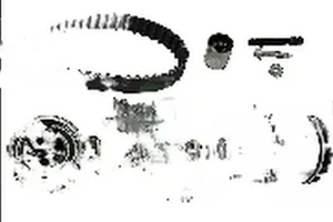 1.9 TDI FORD GALAXY I Wellenset + wasserpumpe INA