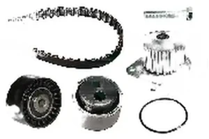 530 0119 30 INA Kit de distribution + pompe à eau