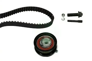 1.9 TDI, 1.9 TD VW PASSAT B3/B4 Kit de courroie de distribution INA