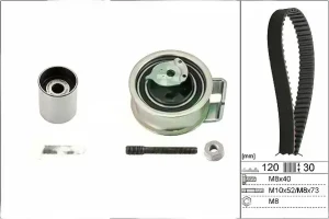 1.9 TDI VW SHARAN I Zahnriemen – set INA