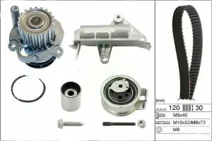 1.9 TDI VW GOLF IV Kit de distribution + pompe à eau INA