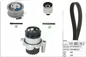 530 0201 30 INA Kit de distribution + pompe à eau