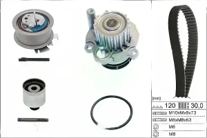 2.0 TDI VW PASSAT B6 Zestaw rozrządu + pompa wodna INA