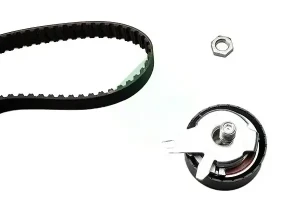 2.5 TDI AUDI A4 B5 Kit de courroie de distribution INA