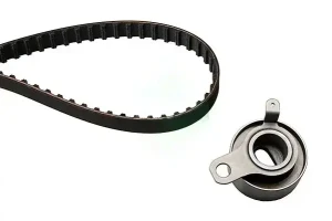 530 0266 10 INA Kit cinghia distribuzione