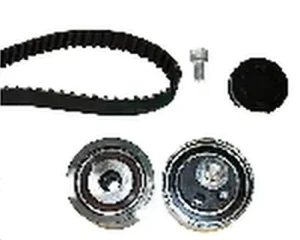 2.5 TDI VW PASSAT B5 Zahnriemen – set INA
