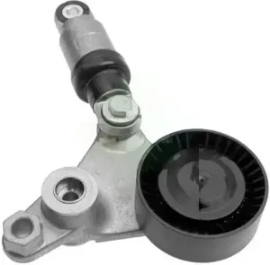 3.0 dCi Tendicinghia multirighe RENAULT VEL SATIS INA