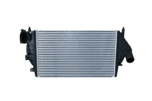 2.2 dT RENAULT LAGUNA I Chłodnica powietrza intercooler NRF