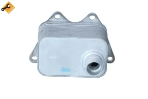 chłodnica oleju passat b6 B19085 Borsehung