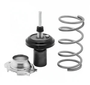 1.33 TOYOTA IQ Termostat calorstat by vernet CALORSTAT by Vernet
